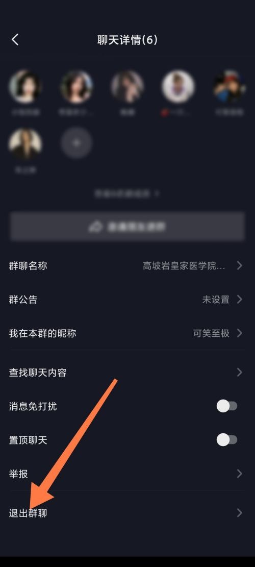 抖音极速版怎么退出群聊？抖音极速版退出群聊教程截图
