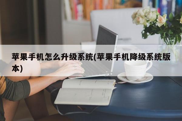 苹果手机怎么升级系统(苹果手机降级系统版本)