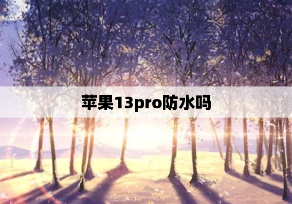 苹果13pro防水吗