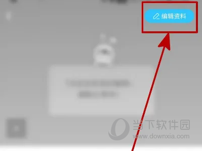 伊对APP怎么设置个人月收入 编辑个人资料方法