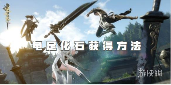 逆水寒手游龟足化石获得方法