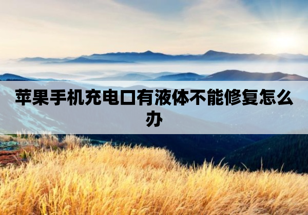 苹果手机充电口有液体不能修复怎么办