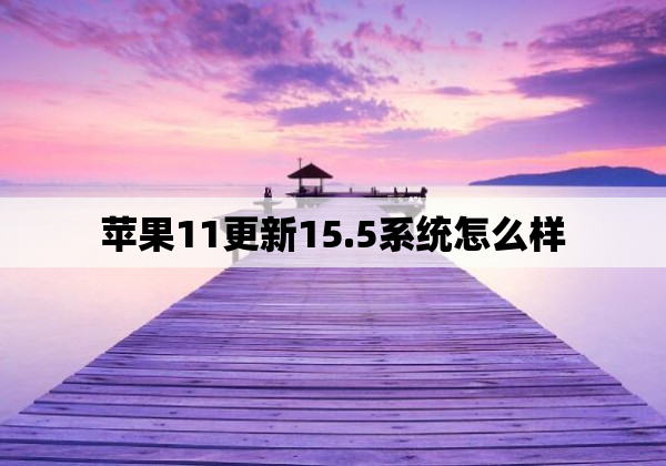 苹果11更新15.5系统怎么样