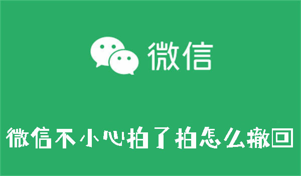 微信不小心拍了拍怎么撤回