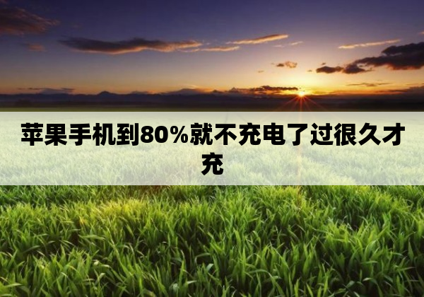 苹果手机到80%就不充电了过很久才充