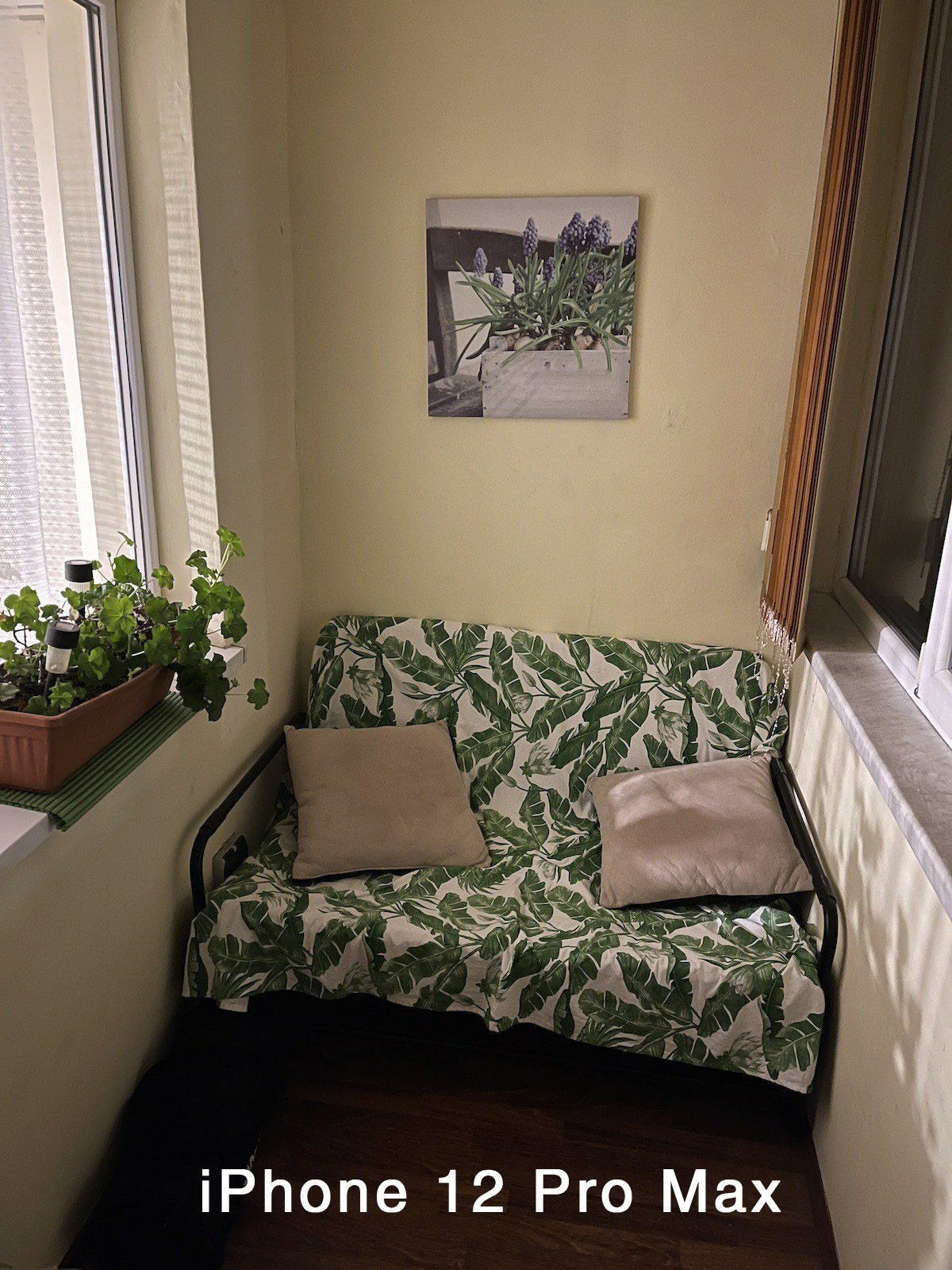 三星S21 Ultra对比iPhone  12 PM：谁更香？