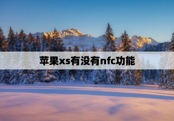 苹果xs有没有nfc功能