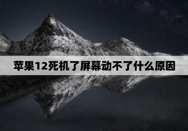 苹果12死机了屏幕动不了什么原因