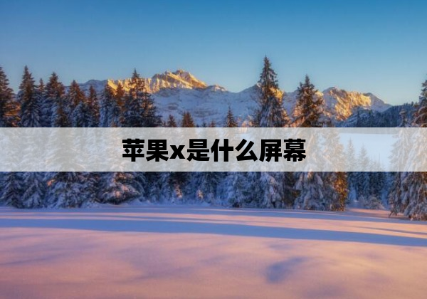 苹果x是什么屏幕
