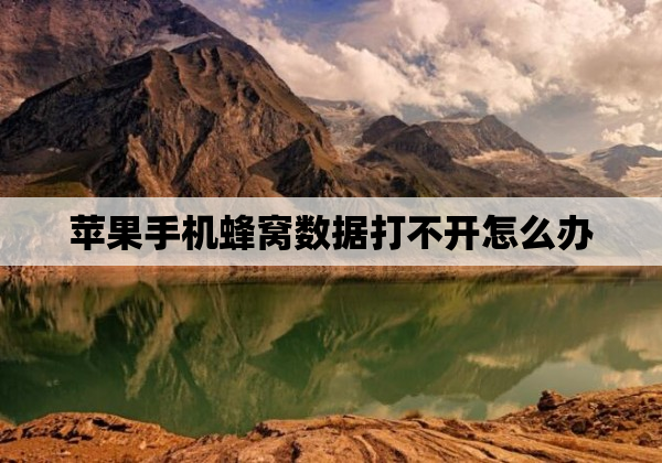 苹果手机蜂窝数据打不开怎么办