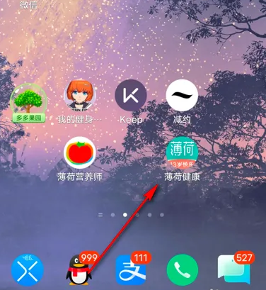 薄荷健康app如何查看13项历史数据 薄荷健康查看减肥评测评测历史方法