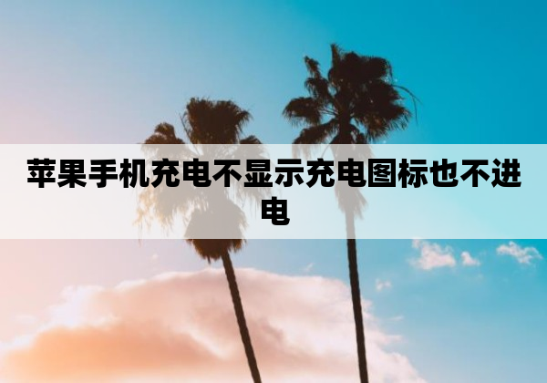 苹果手机充电不显示充电图标也不进电