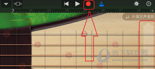 库乐队选择乐器