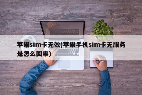 苹果sim卡无效(苹果手机sim卡无服务是怎么回事)