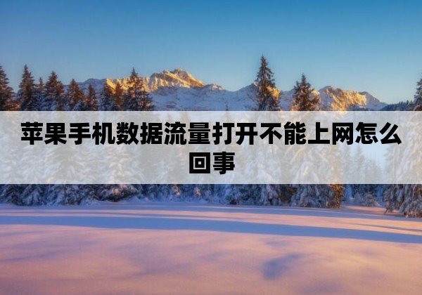 苹果手机数据流量打开不能上网怎么回事