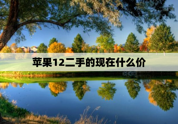 苹果12二手的现在什么价
