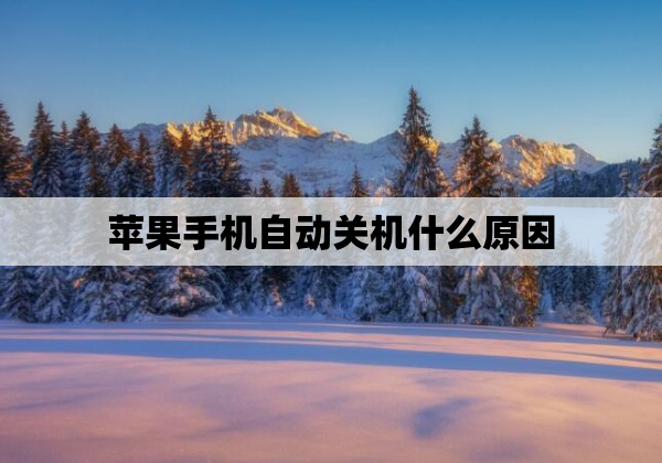 苹果手机自动关机什么原因