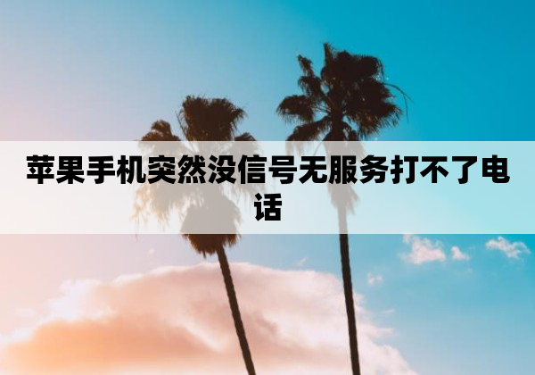 苹果手机突然没信号无服务打不了电话