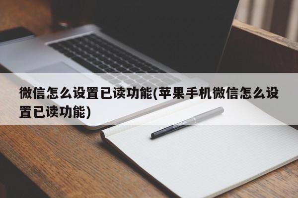 微信怎么设置已读功能(苹果手机微信怎么设置已读功能)