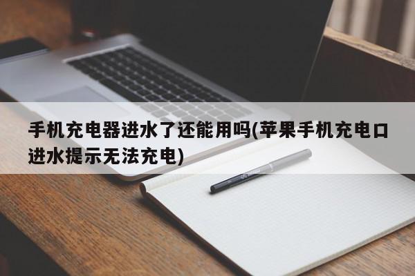 手机充电器进水了还能用吗(苹果手机充电口进水提示无法充电)