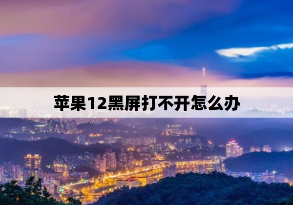 苹果12黑屏打不开怎么办