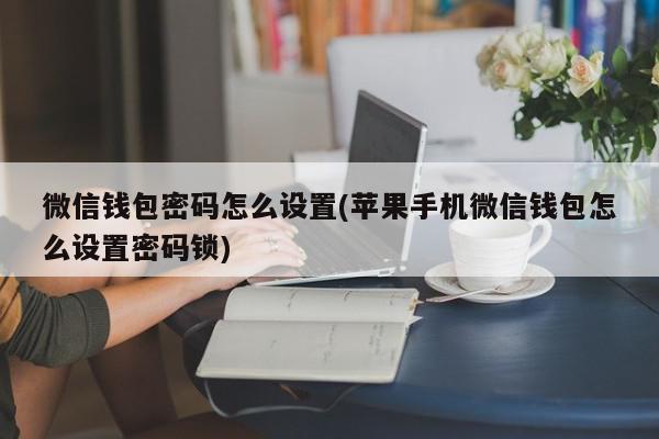 微信钱包密码怎么设置(苹果手机微信钱包怎么设置密码锁)