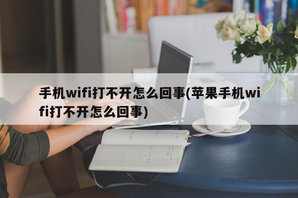 手机wifi打不开怎么回事(苹果手机wifi打不开怎么回事)