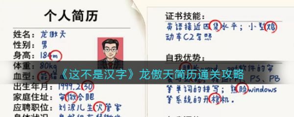 这不是汉字龙傲天简历怎么过 这不是汉字龙傲天简历通关攻略