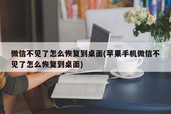 微信不见了怎么恢复到桌面(苹果手机微信不见了怎么恢复到桌面)