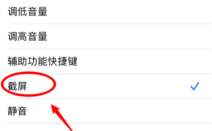 ios14怎么敲击后盖截屏？ 轻点背面支持机型与截屏方法截图