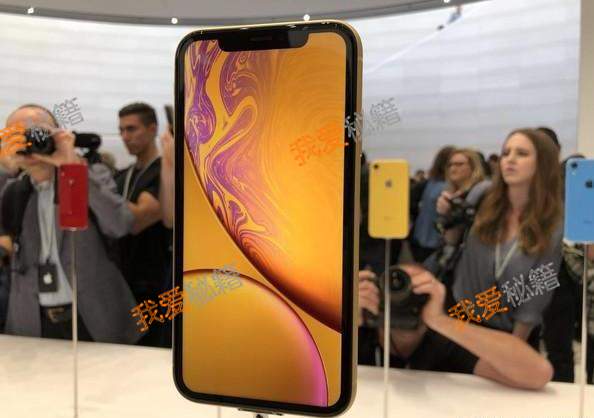 iphonexs和iphonexr价格差不多哪一个好？