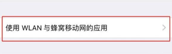 iPhone11pro  max设置应用禁止使用流量的方法步骤截图