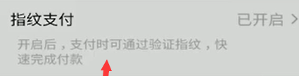 微信指纹支付选项怎么开启
