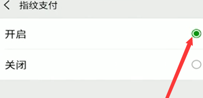 微信指纹支付选项怎么开启