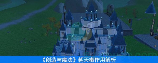 创造与魔法朝天椒作用解析