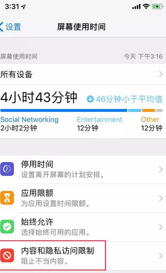 苹果6s访问限制设置方法步骤截图