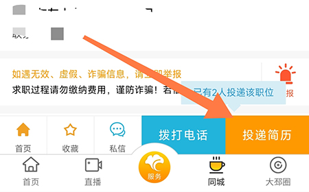 邳州银杏甲天下