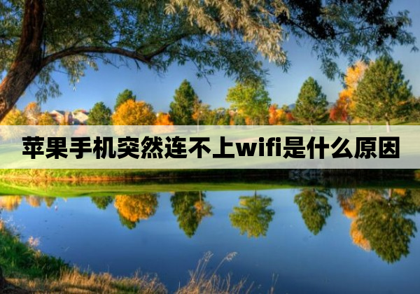 苹果手机突然连不上wifi是什么原因