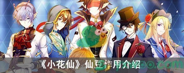 小花仙手游仙豆作用介绍