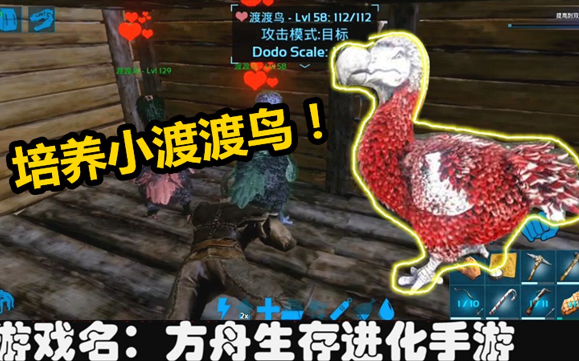 方舟孵化一只渡渡鸟任务怎么完成 方舟生存进化无齿翼龙吃什么最快