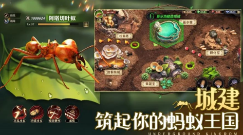 小小蚁国平民怎么玩 平民玩法技巧分享