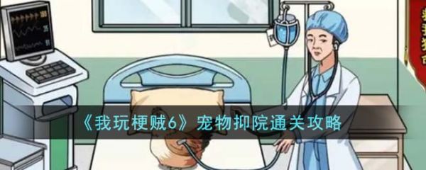 我玩梗贼6宠物抑院怎么过  我玩梗贼6宠物抑院通关攻略