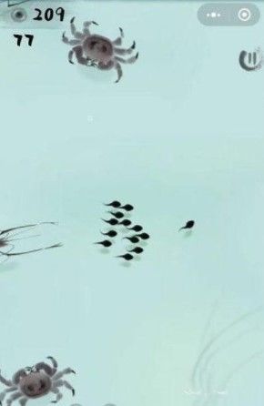 墨虾探蝌怎么变青蛙？蝌蚪变青蛙攻略[视频][多图]图片2