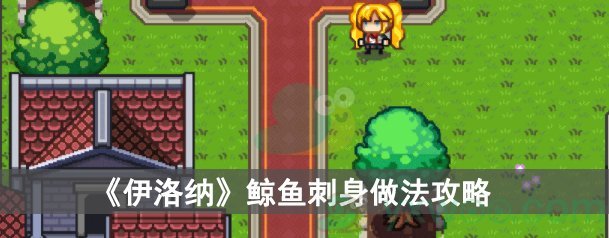 伊洛纳鲸鱼刺身做法攻略