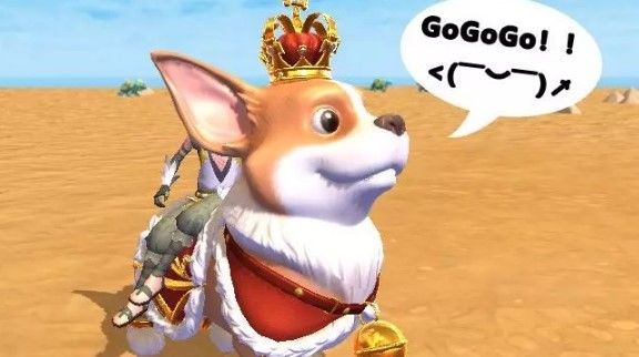 创造与魔法皇家柯基怎么获得？皇家柯基坐骑获取攻略