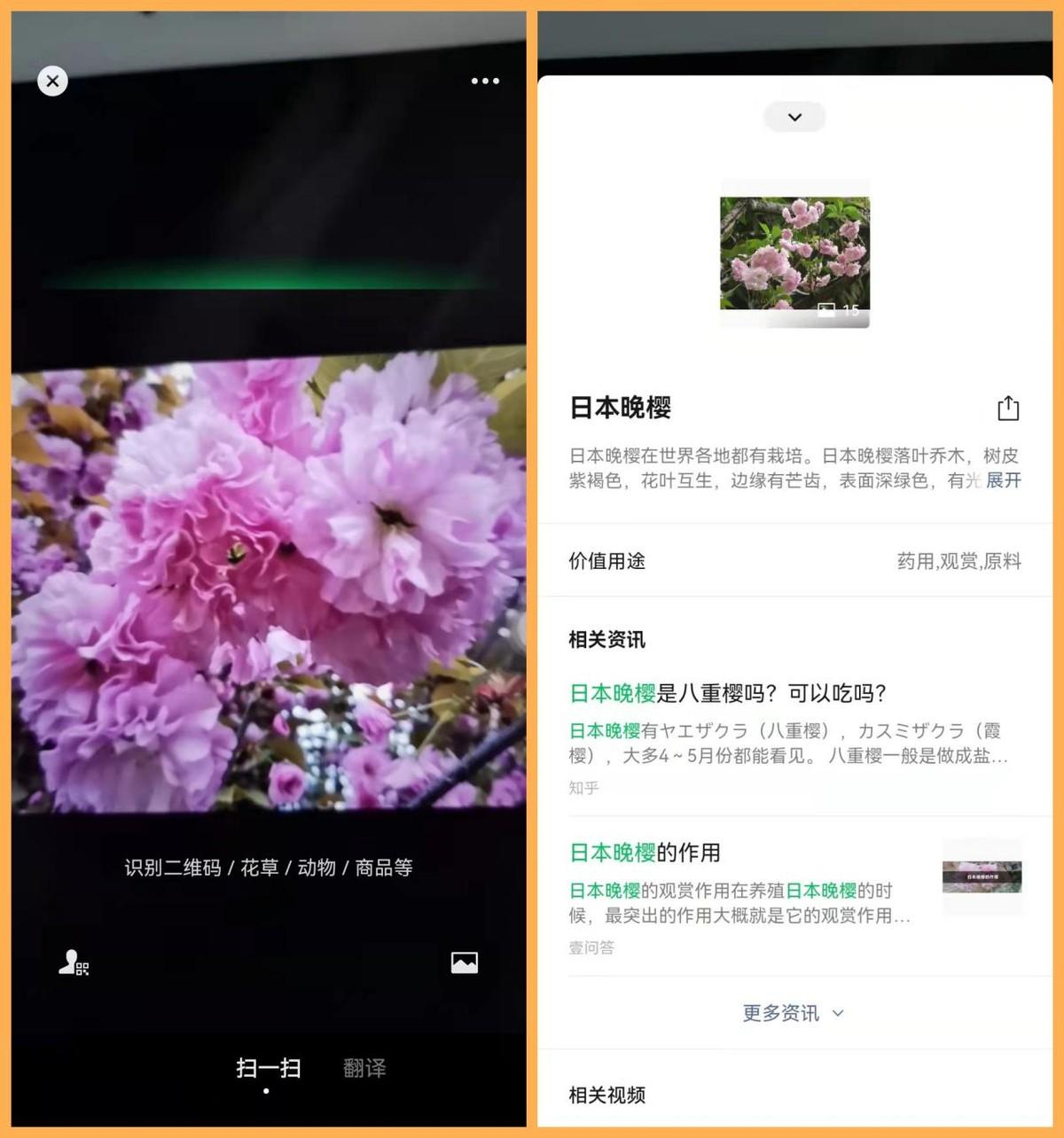 扫一扫功能使用了什么识别方式？微信扫一扫的功能介绍及玩法