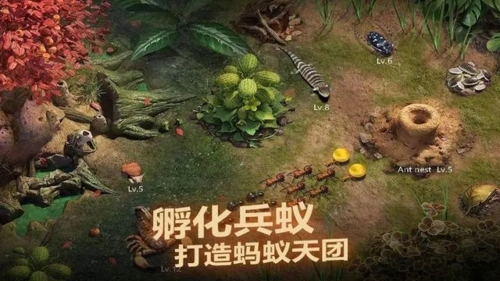 小小蚁国新手开局怎么玩 初期玩法思路攻略