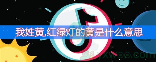 我姓黄,红绿灯的黄是什么意思