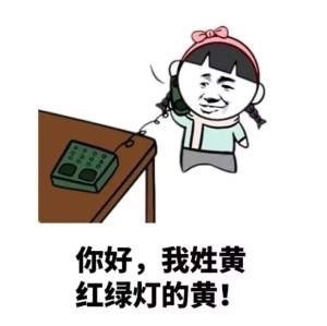 我姓黄，红绿灯的黄是什么意思