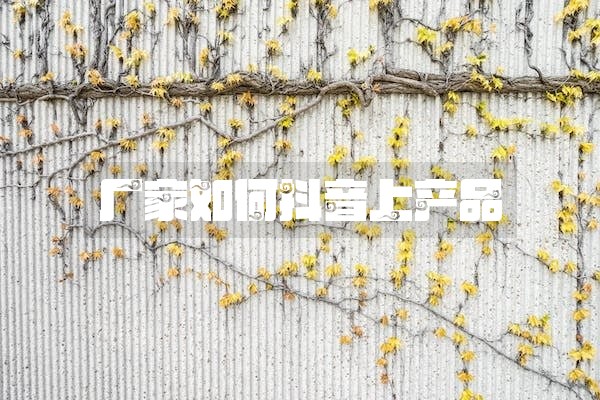 厂家如何抖音上产品